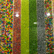 Image for article titled This Is Your Brain on Candy